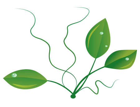 The first spring green sprout. Vector illustrationのイラスト素材