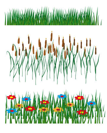 Set of elements of nature. Vector illustrationのイラスト素材