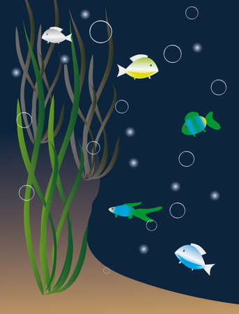 Colored fish among the seaweed. Vector illustrationのイラスト素材