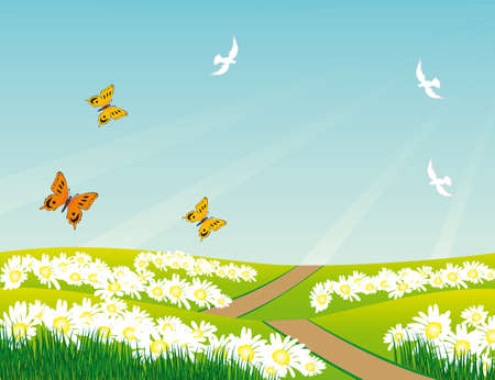 Birds and butterflies over the meadow.illustrationのイラスト素材