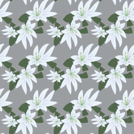 Seamless background of white flowers. illustrationのイラスト素材