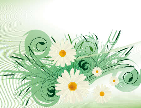 Abstract background with white daisiesのイラスト素材