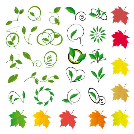 Collection of colored leaves to the design. Vector illustrationのイラスト素材