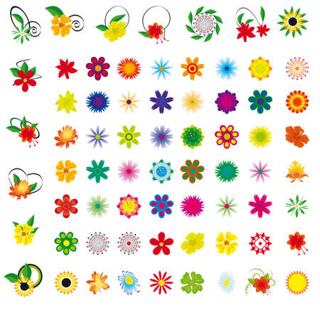 A collection of flowers for the design. のイラスト素材