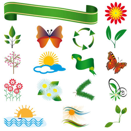 A collection of natural elements for design. illustrationのイラスト素材