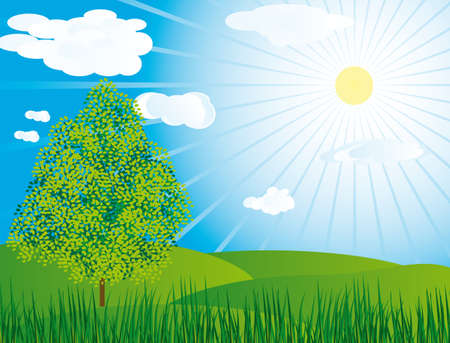 One tree in a meadow. のイラスト素材