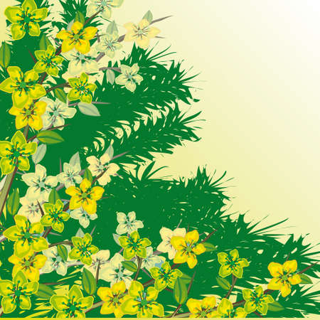 Flowering branch on a green background. illustrationのイラスト素材