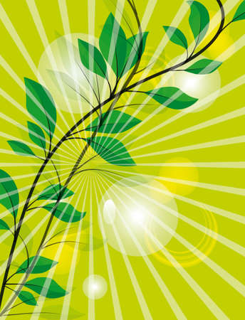 A branch with leaves in the sunlight. illustrationのイラスト素材