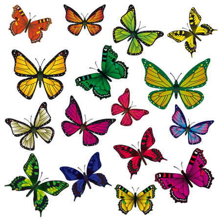 A collection of colorful butterflies. illustrationのイラスト素材