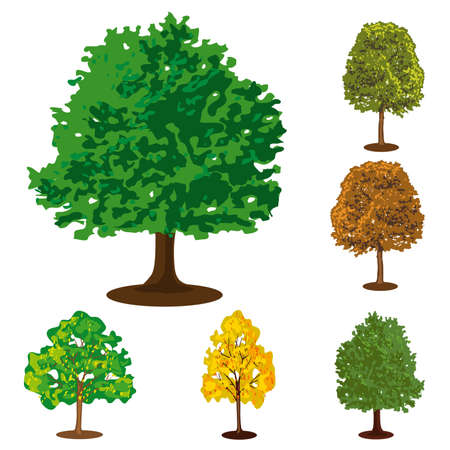 Set of six isolated trees. Vector illustrationのイラスト素材