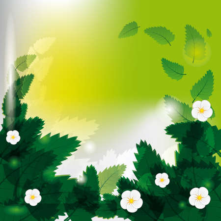 White flowers among green leaves. Vector illustrationのイラスト素材