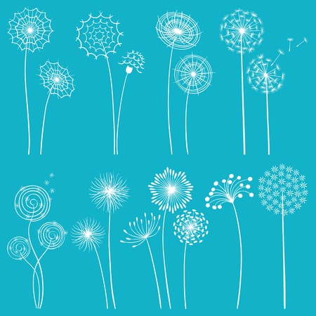 Set of hand drawn dandelions for your design.のイラスト素材
