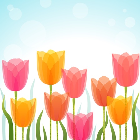 Colorful tulips on light blue background. Vector contains transparent objects. EPS 10.のイラスト素材