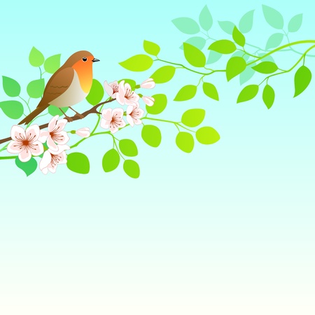 Spring background with Robin bird.のイラスト素材