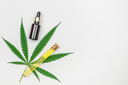 Medicinal cannabis leaf, oil bottle and test tube with CBD oil on white background, top view with copy spaceの写真素材