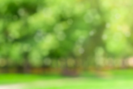 Defocused green garden background, summer abstract background with sunlight and bokehの写真素材