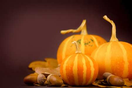 Autumn festive background. Three pumpkins, autumn leaves and acorns on dark backgroundの素材 [FY310212793386]