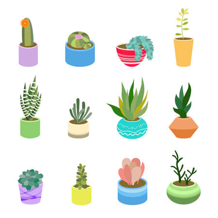 Succulents and cactus in pots of different colors. Cute flat cartoon elements for home design. Vector illustration set of hand drawn. Isolated on white backgroundのイラスト素材