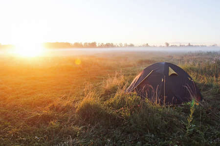 In the morning, fog by the river in a field with cobwebs on the grass.の写真素材