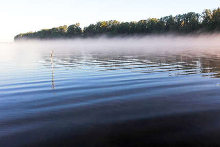 In the morning, fog by the river in a field with cobwebs on the grass.
