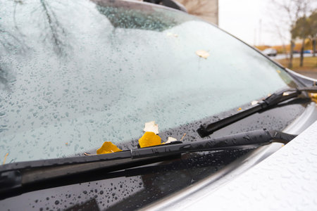 leaves on the hood of a car in autumn in raindrops.の写真素材