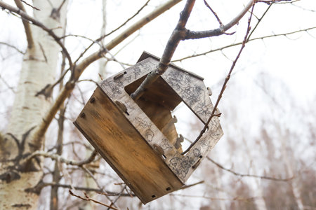 Birdhouse on a birch or other tree in autumn.の写真素材