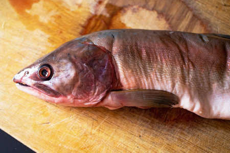cut into pieces frozen salmon or salmon fish lies on a wooden board covered in blood head nearby.