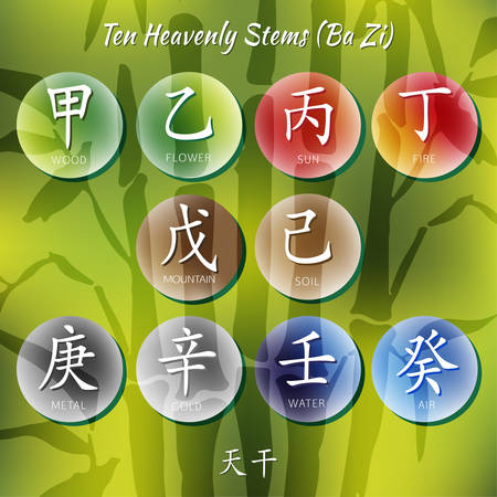 Symbol from chinese hieroglyphs. Translation of 10 zodiac stems, feng shui signs hieroglyphのイラスト素材