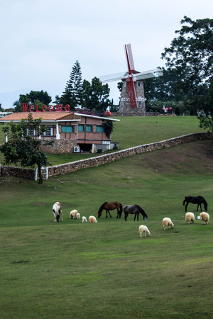 Sheep farm with a windmillの写真素材