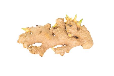 Ginger in isolated white background with clipping pathの写真素材