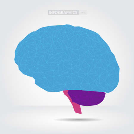 Colorful Abstract Human Brain   EPS10 Vector Illustration  のイラスト素材