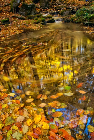 Autumn stream with moving leaves and wood reflection in waterの写真素材