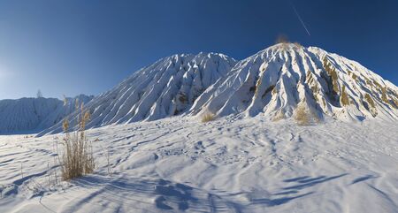 Winter waste heap with a bush of a cane and plane flying by in the skyの写真素材