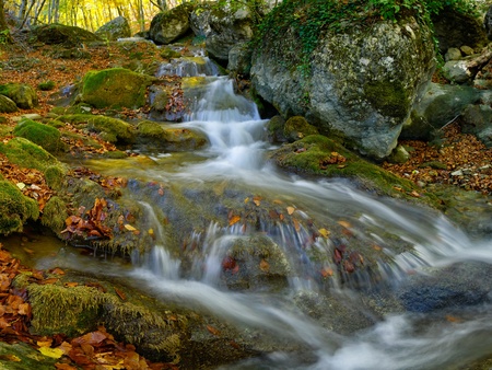 Waterfall is surrounded by moss and fallen autumn maple leavesの写真素材