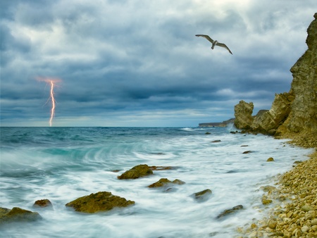 Seagull over ocean, comes nearer a thunder-storm towards the coast from rocks and lightning on backgroundの写真素材