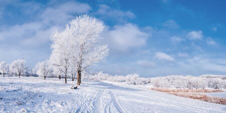 Winter landscape with frozen tree, road and blue sky with clouds  Panoramaの写真素材