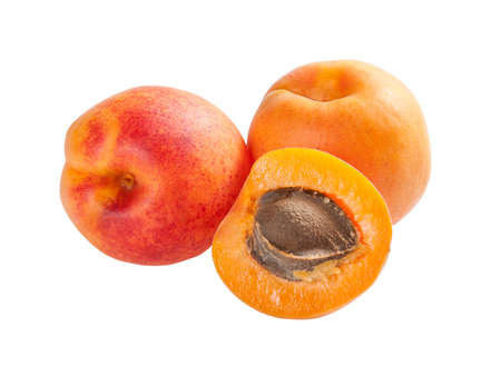 Group ripe apricot fruits isolated on white backgroundの写真素材