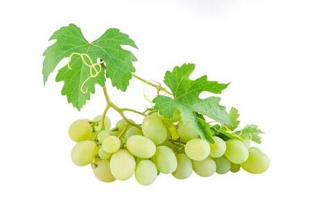 Ripe green grapes with fresh leaves isolated on white backgroundの写真素材