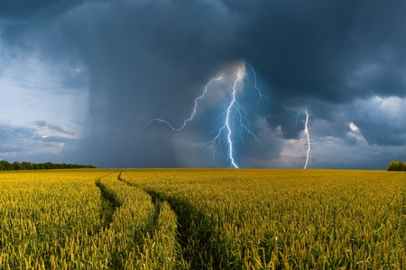 Summer landscape with big wheat field and road, thunderstorm with rain on backgroundの写真素材