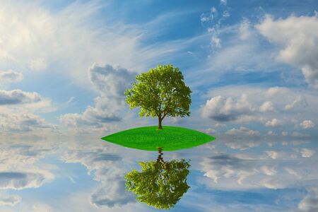 Small green island with lonely tree reflection in quiet water of the oceanの写真素材
