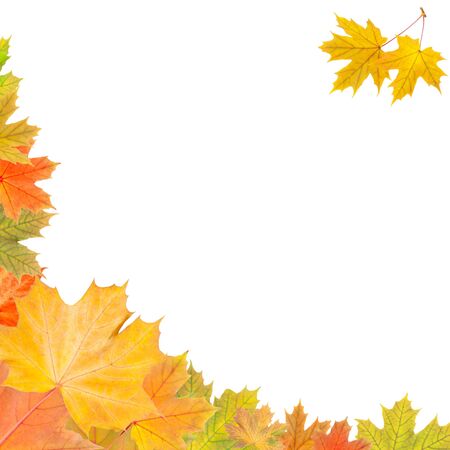 Frame from colorful autumn leaves background textureの写真素材