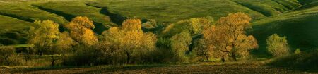 Beautiful landscape with shining autumn trees against green hills, outdoors panorama