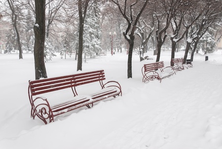 Benches in winter park, snow fallsの写真素材