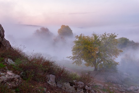 Landscape with heavy fog and autumn treesの写真素材