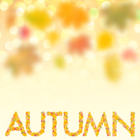 Autumn background with bright leaves for design, school season; selective focusの写真素材