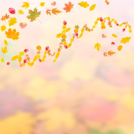 Autumn background with bright leaves for design, school season; selective focus
