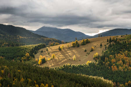 The slopes of the Carpathian mountains lit by the sun, autumn landscape