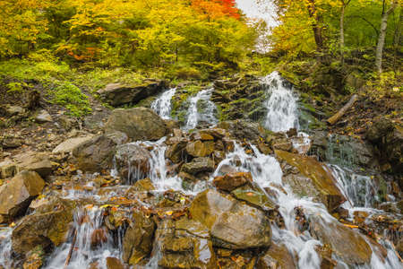 Waterfall in the mountains, autumn landscape