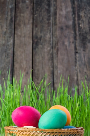 Easter rustic background with eggs and grassの写真素材