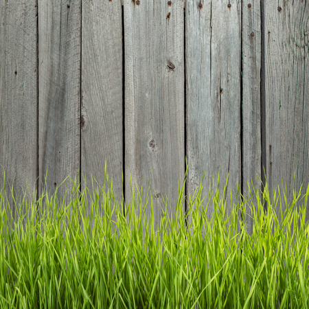 Vintage wooden texture with grassの写真素材